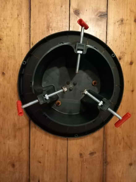 Photo of free Base for living Xmas tree (Sciennes EH9) #1