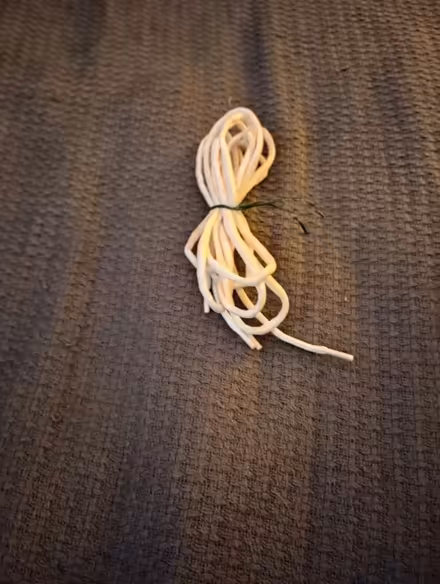 Photo of free Shoelace (Ringoes) #1