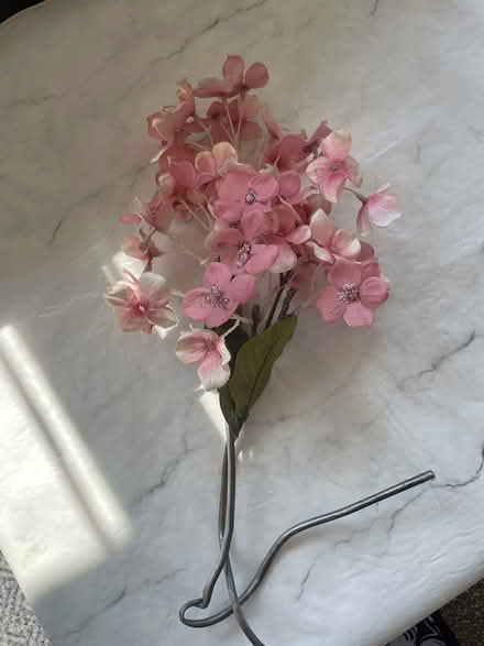 Photo of free Fake flowers (Ilford IG1) #1
