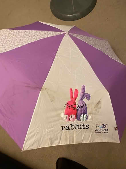 Photo of free Umbrella (Norbury) #2