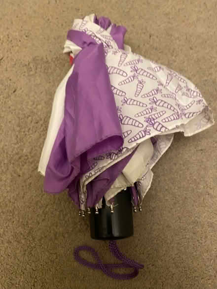 Photo of free Umbrella (Norbury) #1