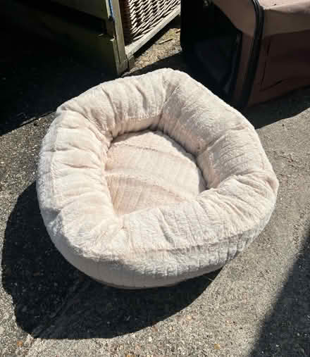Photo of free Pet bed (Letchworth SG6) #1