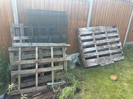 Photo of free Pallets (Birmingham Tyseley B11) #1
