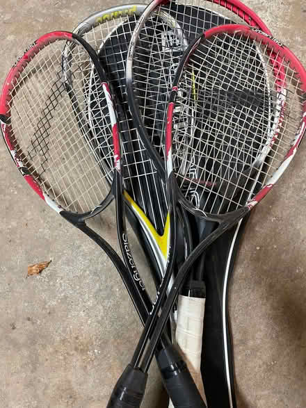 Photo of free Bats (Nunthorpe TS7) #1