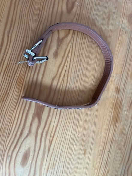 Photo of free Dog collar, small size. Used (CV1) #1
