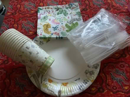 Photo of free Collection of disposable tableware (Bedford MK42) #1