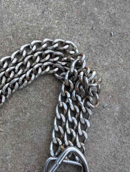 Photo of free Dog Collar (ST6) #2