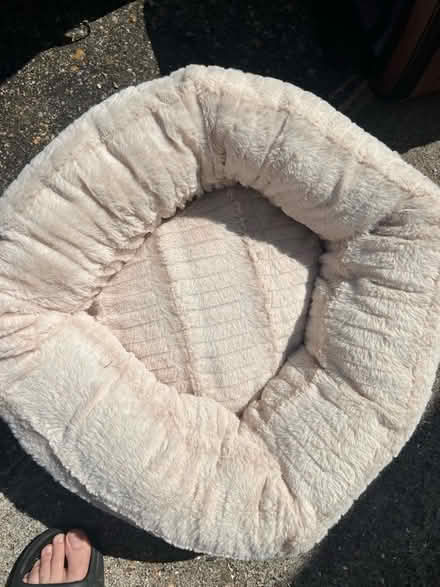 Photo of free Pet bed (Letchworth SG6) #2