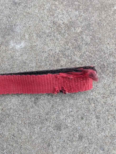 Photo of free Dog Lead (ST6) #2