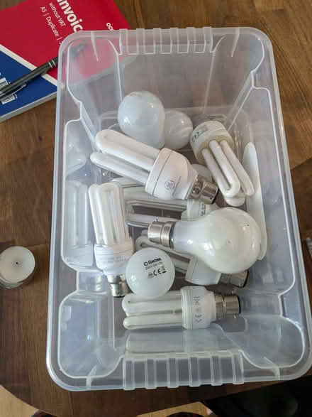 Photo of free CFL and filament bulbs (Hollingdean BN1) #1