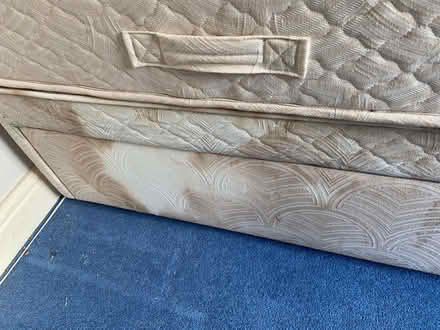 Photo of free Single Bed (Kendal LA9) #2