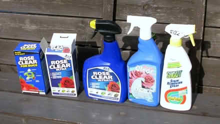 Photo of free Rose Clear products (Newton Hall DH1) #1