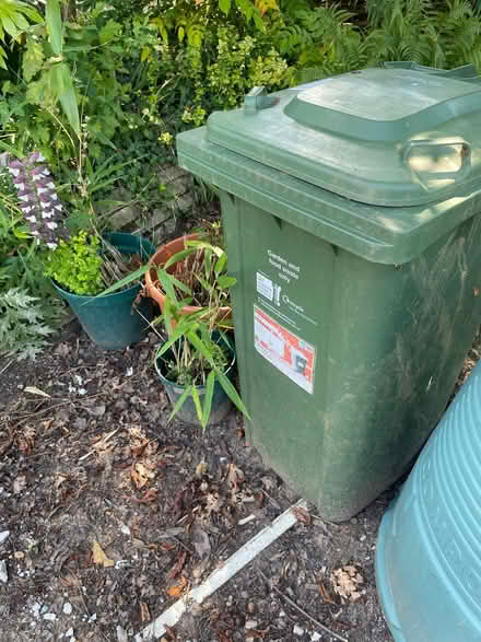 Photo of free Wheelie bin (Kenilworth CV8) #1