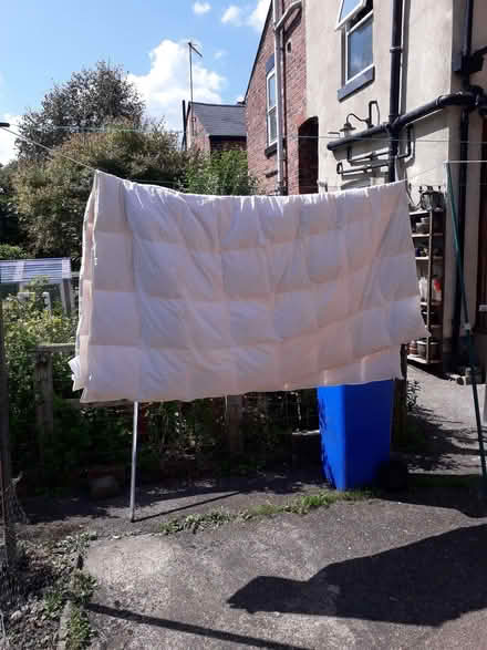 Photo of free Duvet (Meersbrook S8) #1