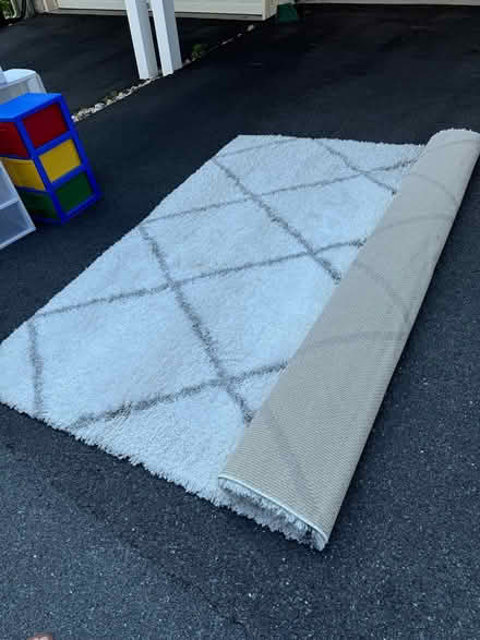 Photo of free Shag rug 8x10 (Boyds, close to Germantown.) #1