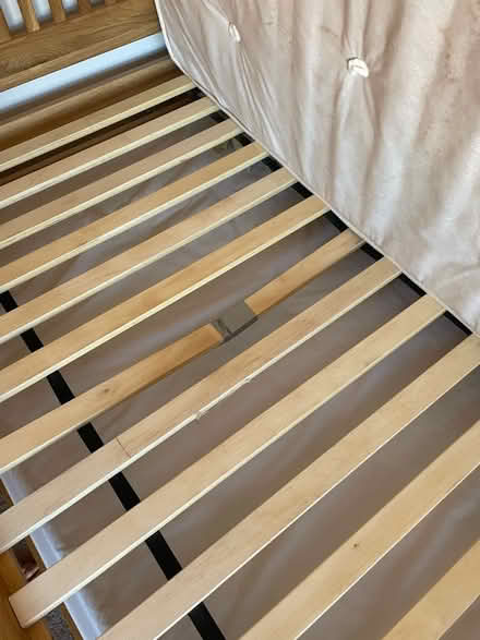 Photo of free Single bed with guest bed under (M20 Didsbury) #3