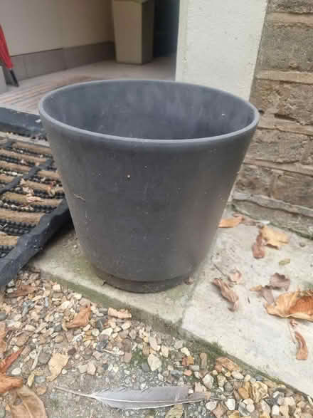 Photo of free Plant pot (SE13) #1