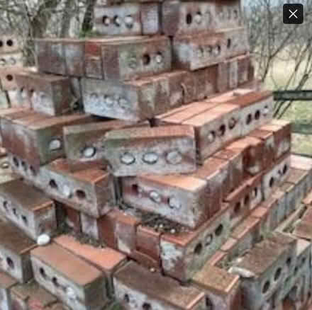 Photo of free Bricks - Used (Carp Road and McGee Side Road) #4