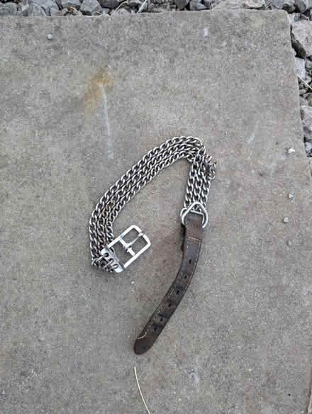 Photo of free Dog Collar (ST6) #1
