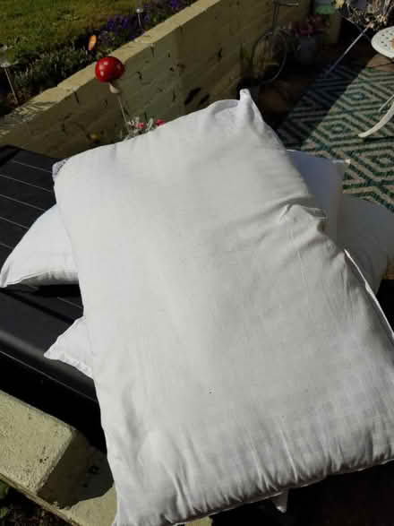 Photo of free 3 pillows (Bletchingley RH1) #2