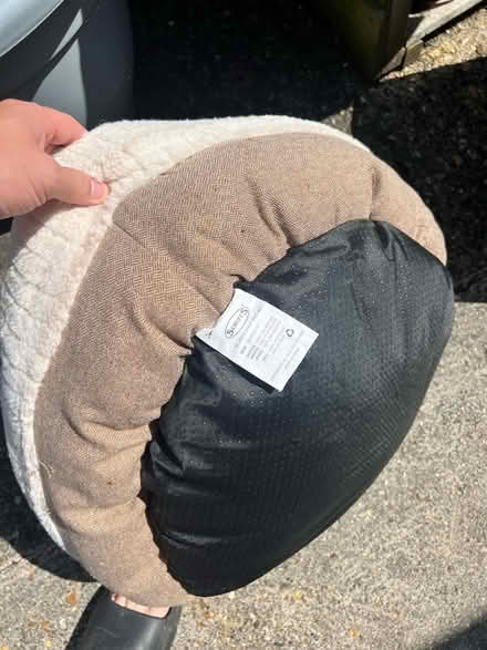 Photo of free Pet bed (Letchworth SG6) #3