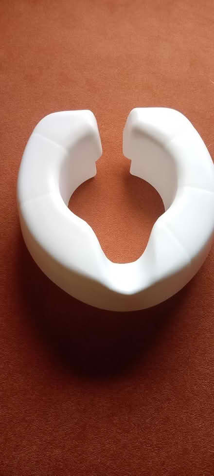 Photo of free Raised Toilet Seat (FK9 Bridge of Allan) #1
