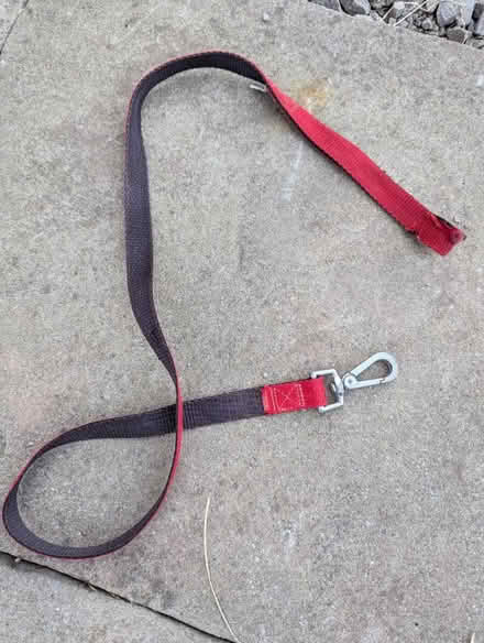 Photo of free Dog Lead (ST6) #1