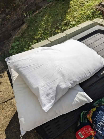 Photo of free 3 pillows (Bletchingley RH1) #1