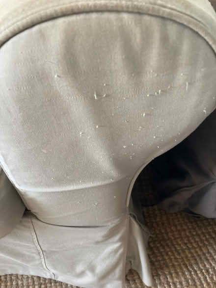 Photo of free sofa bed (Great Cornard CO10) #1