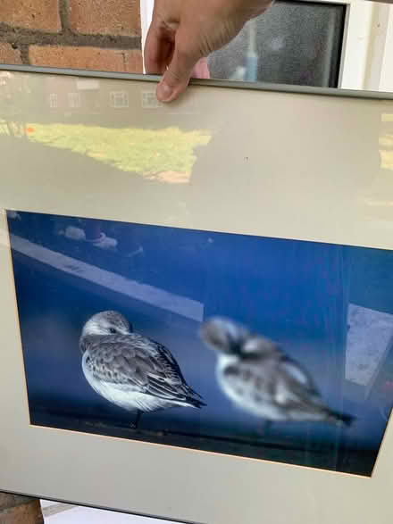 Photo of free Pictures (SW6) #2