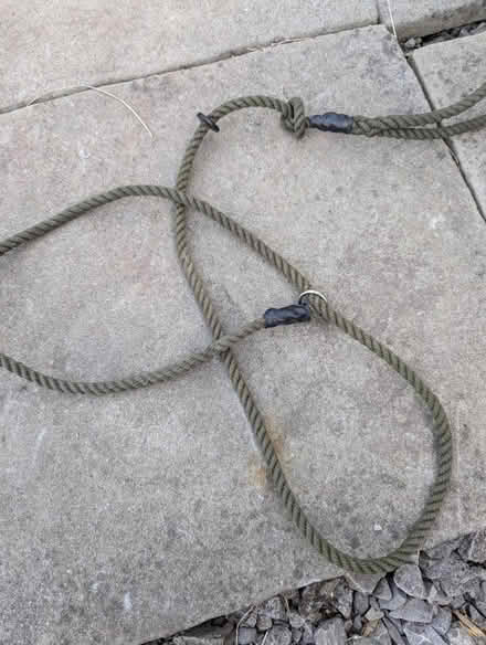 Photo of free Slip Lead (ST6) #1
