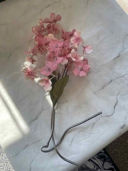 Photo of free Fake flowers (Ilford IG1) #2