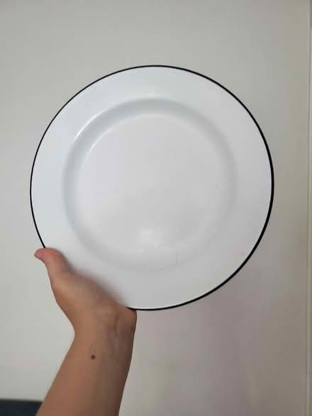 Photo of free 8 Large Dinner Plates (Bayonne, NJ) #1