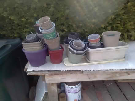 Photo of free Flower pots (Rushwick Wr25tp) #1