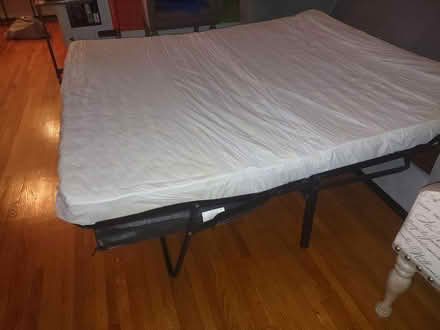 Photo of free Queen-sized sofa bed (Brooklyn, Ditmas Park) #4
