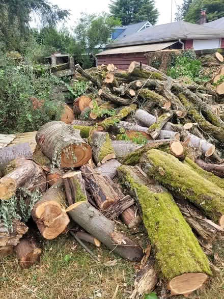 Photo of free wood (Northgate) #1