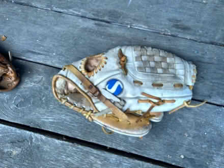 Photo of free Adult baseball glove (Poughquag, NY) #1