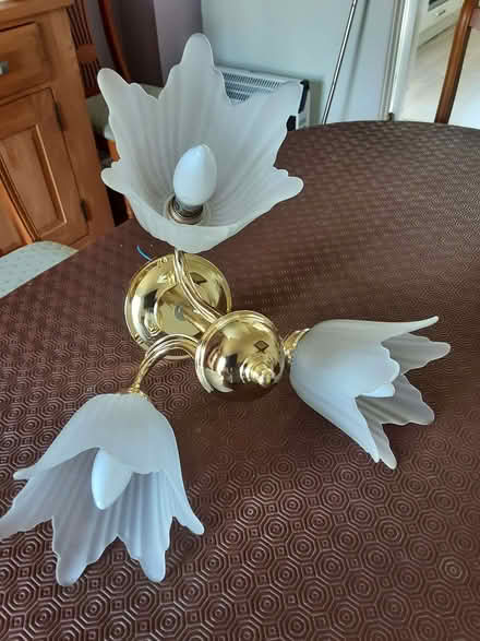 Photo of free Pair of ceiling light clusters (Charlton Kings GL52) #2