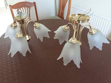 Photo of free Pair of ceiling light clusters (Charlton Kings GL52) #1