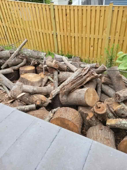 Photo of free Wood (District Heights) #1