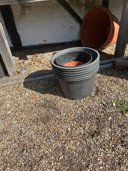 Photo of free Seed trays and pots (Gardeners Green RG40) #3