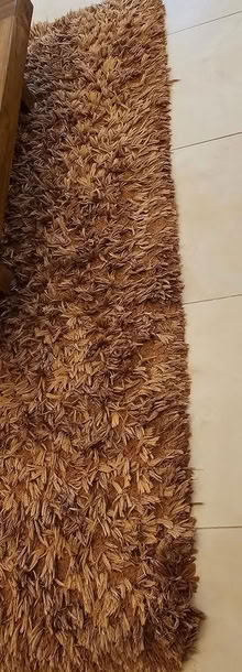Photo of free Shaggy rug caramel 160x230 cm (Wallington) #2