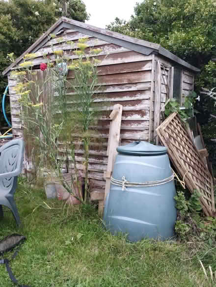Photo of free Garden shed (Hastings TN34) #2