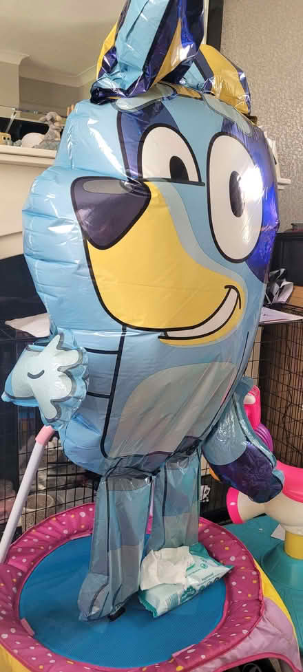 Photo of free Bluey balloon (West Denton NE5) #1