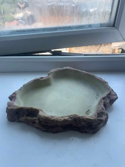 Photo of free reptile dish (Lee SE12) #1
