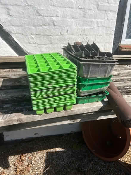 Photo of free Seed trays and pots (Gardeners Green RG40) #1