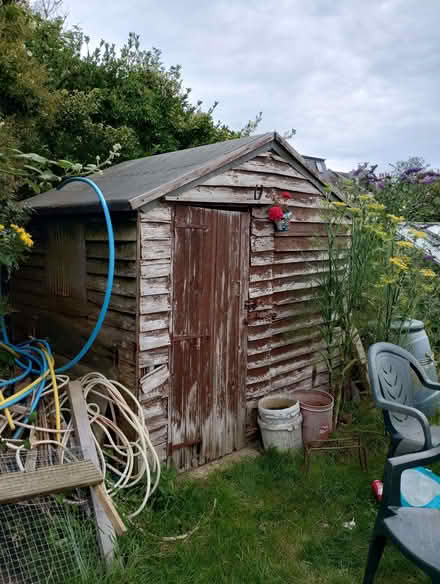 Photo of free Garden shed (Hastings TN34) #1