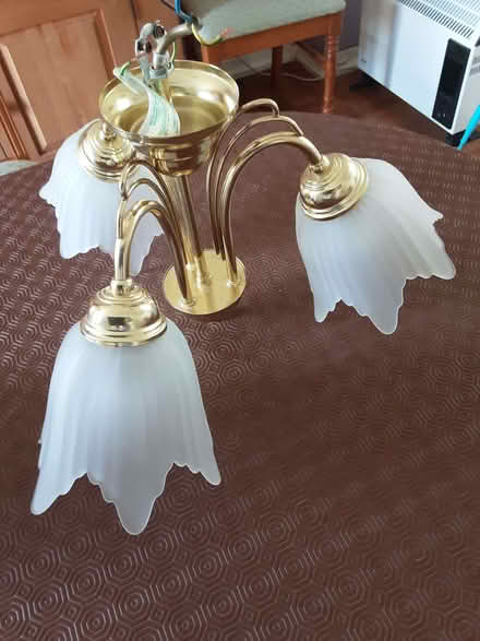 Photo of free Pair of ceiling light clusters (Charlton Kings GL52) #3
