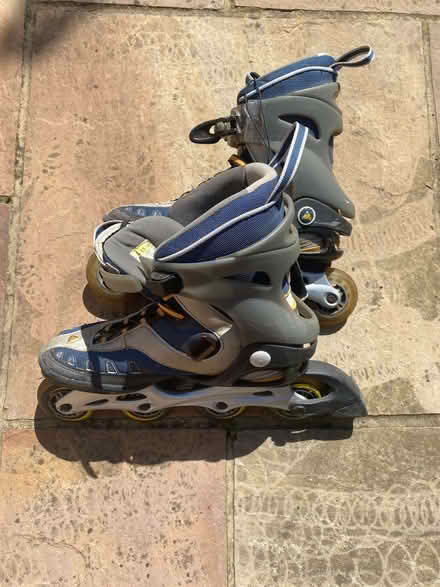 Photo of free Inline Skates (UK 10.5) (windsor-maidenhead-freegle CGA SL6) #1