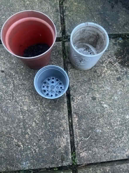 Photo of free Plant pots (Addiscombe CR0) #1